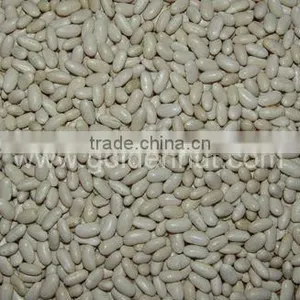 Small White Kidney Beans(baishake) thumbnail-1