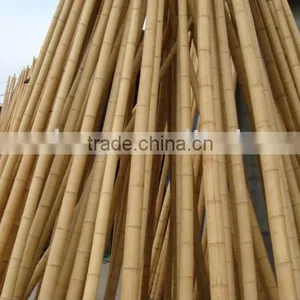 Bamboo Pole,bamboo Cane,bamboo Stake,bamboo Stick thumbnail-1