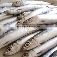 155g Canned Sardine Fish In Vegetable Oil thumbnail-1