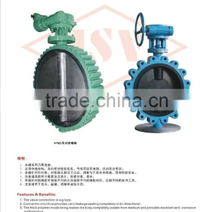 Worm Gear Operated Cast Iron Full Lug Type Central Line Epoxy Coating Lug Type Butterfly Valve thumbnail-6
