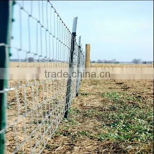 China Cheap Steel Fence Post t Posts Wholesale thumbnail-6