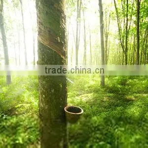 100% Natural Chestnut Shell Extract Brown Food Color thumbnail-1