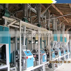 300 TPD Cassava Flour Processing Machine in Ivory Coast thumbnail-1
