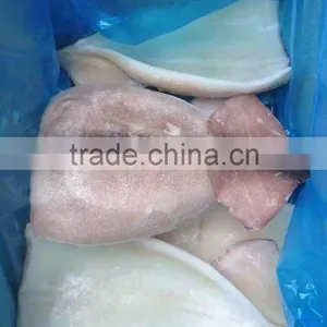2016 Newly Catch Fresh High Quality Squid Fillets From China thumbnail-1