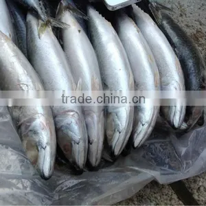 Grade A WR Frozen Mackerel 300-400g. thumbnail-2