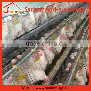 Automatic Chicken Egg Layer Cages Hen House Chicken Coop for Nigeria Farm thumbnail-1