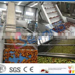 Date Syrup Processing thumbnail-5