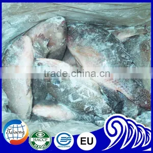 Frozen Tilapia Wholesale Price Fish for Canning thumbnail-5