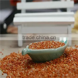 Red Millet in Husk 2016 Crop High Quality thumbnail-5
