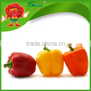 Bell Pepper/Color Pepper thumbnail-6