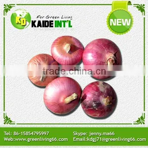 World Best Selling Products Grade A Fresh Onions thumbnail-6