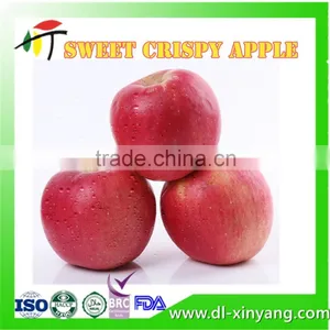 2016 New Season Natural Healthy Liaoning Hanfu Red Apple thumbnail-4