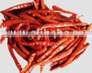 Dry Chilli thumbnail-1