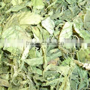 Stevia Dry Leaves thumbnail-1