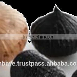 High Quality Single Clove Black Garlic Made in Vietnam thumbnail-3