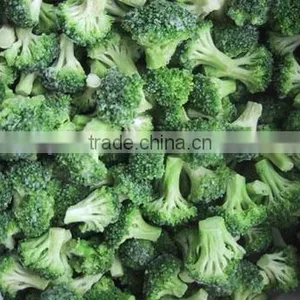 IQF Vegetables Broccoli Frozen Broccoli Factory Best Sell thumbnail-1