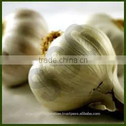 Garlic Oil thumbnail-1