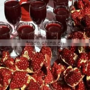 New Generation Heavy Duty Commercial and Household Manual Juicer,juicer Press ,more Higher Juice Yield thumbnail-5