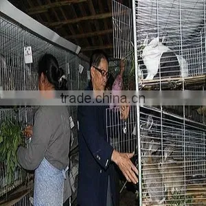 Galvanized Welded Wire Mesh Rabbit Cage thumbnail-1