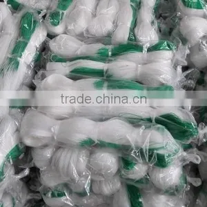 Cucumber Net.plant Support Net thumbnail-6