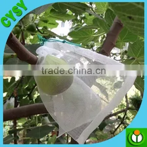 Vegetable Garden Plastic Insect Netting thumbnail-1