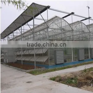 2016 Low Cost Glass Greenhouse Agriculture for Sale thumbnail-1