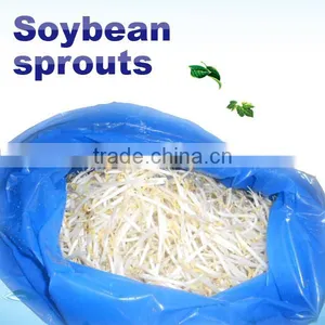 The Best Automatic Bean Sprout Machine From US thumbnail-2