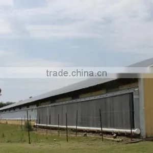 China DFX Cheap Poultry Farming Prefabricated Industrial Chicken House thumbnail-4