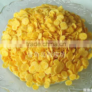 Breakfast Cereal/corn Flakes Snack Foos Machine/ Production Line thumbnail-1