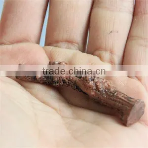 Micro Landscape Resin Material Dead Branches Decoration in Glass Bottle thumbnail-2