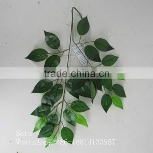 SJ071201 High Initation Ficus Tree Leaves With UV Protection thumbnail-1