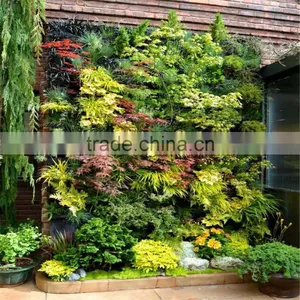 2017 Hot Sale Artificial Ornamental Plants for Wall Decoration Cheap Artificial Agave Plants for Sale thumbnail-1