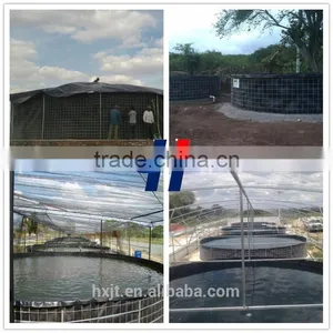 High Quality Hdpe Geomembrane for Pond Liner thumbnail-1