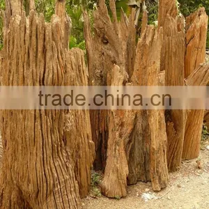 Driftwood Aquarium Decoration thumbnail-6