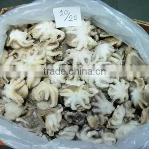 Frozen Octopus Whole Cleaned thumbnail-1