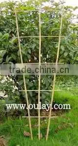 Bamboo Trellis Fence Expanding Bamboo Fence thumbnail-3