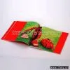 Books thumbnail-1