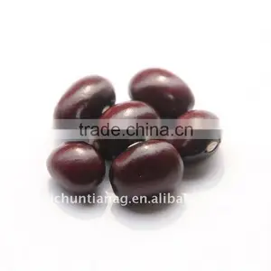Purple Round Kidney Bean Super Organic thumbnail-1
