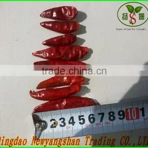 (HOT)small Hot Chili/hot Chilli Pepper/chaotian Chilli thumbnail-4