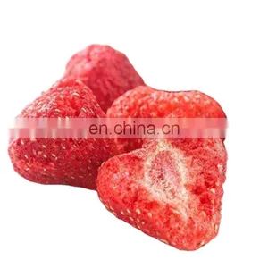 FD Food Vacuum Freeze Drying Machine thumbnail-1