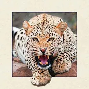 High Quality 3d Art Picture With Pet Lenticular 40x40 With Moving thumbnail-4