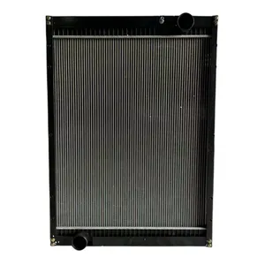 High Quality Good Value for Money Accessories Radiator 1325813106203 Radiator for Truck thumbnail-1