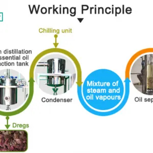 10-30L Cardamom Essential Oil Extraction Distillation Equipment thumbnail-2