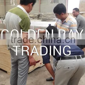 Marine Plywood/shuttering Plywood/Film Faced Plywood DANUBE CNBM CPLEX thumbnail-6