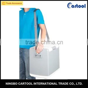 12v Portable Mini Cooler Box Car Refrigerator thumbnail-1