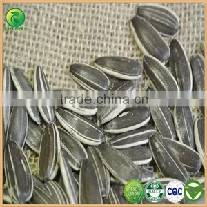Bird Seed Food Product Wholesale Sunflower Seeds, Chinese Sunflower Seeds thumbnail-1