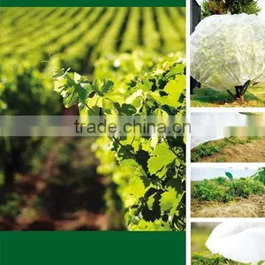For Protecting the Plants China Supplier Biodegradable Agriculture PP Protective Cover Film for Protecting the Plants thumbnail-4