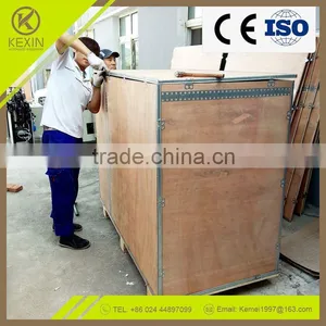 JX114 Super Value Factory Sell New Intelligent Ice Stick Sorter Machine thumbnail-6