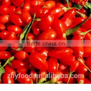 Chinese Dried Wolfberry thumbnail-4