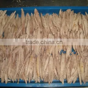 Frozen Precooed Bonito Loins High Quality for Sale thumbnail-2